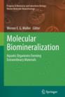 Molecular Biomineralization : Aquatic Organisms Forming Extraordinary Materials - Book