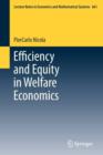 Efficiency and Equity in Welfare Economics - Book