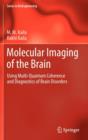 Molecular Imaging of the Brain : Using Multi-quantum Coherence and Diagnostics of Brain Disorders - Book