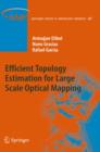 Efficient Topology Estimation for Large Scale Optical Mapping - Book