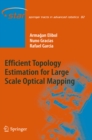 Efficient Topology Estimation for Large Scale Optical Mapping - eBook