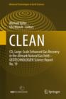 CLEAN : CO2 Large-scale Enhanced Gas Recovery in the Altmark Natural Gas Field - Geotechnologien Science Report No. 19 - Book