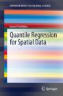 Quantile Regression for Spatial Data - eBook