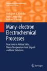 Many-electron Electrochemical Processes : Reactions in Molten Salts, Room-temperature Ionic Liquids and Ionic Solutions - Book