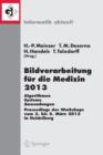 Bildverarbeitung Fur Die Medizin 2013 : Algorithmen - Systeme - Anwendungen. Proceedings Des Workshops Vom 3. Bis 5. Marz 2013 in Heidelberg - Book