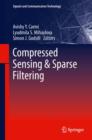 Compressed Sensing & Sparse Filtering - eBook