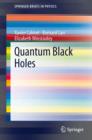 Quantum Black Holes - eBook