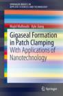 Gigaseal Formation in Patch Clamping : With Applications of Nanotechnology - eBook