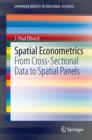 Spatial Econometrics : From Cross-Sectional Data to Spatial Panels - eBook