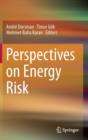 Perspectives on Energy Risk - Book