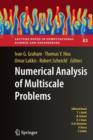 Numerical Analysis of Multiscale Problems - Book