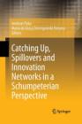 Catching Up, Spillovers and Innovation Networks in a Schumpeterian Perspective - Book