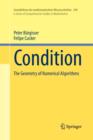 Condition : The Geometry of Numerical Algorithms - Book
