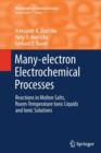 Many-electron Electrochemical Processes : Reactions in Molten Salts, Room-Temperature Ionic Liquids and Ionic Solutions - Book