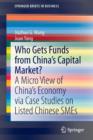 Who Gets Funds from China's Capital Market? : A Micro View of China's Economy via Case Studies on Listed Chinese SMEs - Book