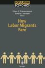 How Labor Migrants Fare - Book