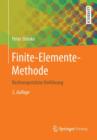 Finite-Elemente-Methode : Rechnergestutzte Einfuhrung - Book
