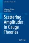 Scattering Amplitudes in Gauge Theories - Book