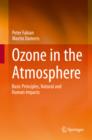 Ozone in the Atmosphere : Basic Principles, Natural and Human Impacts - eBook