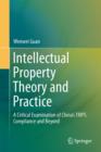 Intellectual Property Theory and Practice : A Critical Examination of China's TRIPS Compliance and Beyond - Book