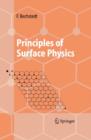 Principles of Surface Physics - eBook