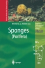 Sponges (Porifera) - eBook