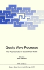 Gravity Wave Processes : Their Parameterization in Global Climate Models - eBook
