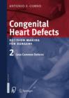Congenital Heart Defects : Decision Making for Cardiac Surgery Volume 2 Less Common Defects - Book