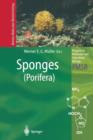 Sponges (Porifera) - Book