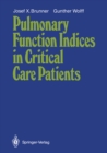 Pulmonary Function Indices in Critical Care Patients - eBook