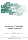 Protozoa and Their Role in Marine Processes - eBook