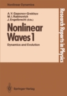 Nonlinear Waves 1 : Dynamics and Evolution - eBook