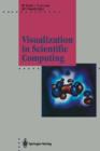 Visualization in Scientific Computing - Book