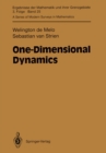 One-Dimensional Dynamics - eBook