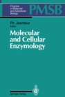 Molecular and Cellular Enzymology - eBook