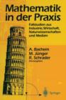 Mathematik in Der Praxis : Fallstudien Aus Industrie, Wirtschaft, Naturwissenschaften Und Medizin - Book