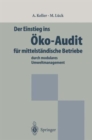 Der Einstieg ins Oko-Audit fur Mittelstandische Betriebe - Book