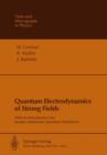 Quantum Electrodynamics of Strong Fields : With an Introduction into Modern Relativistic Quantum Mechanics - Book