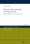 Between Romanticism and Modernism : Ignacy Jan Paderewski's Compositional Œuvre - eBook