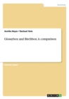 Glossybox and Birchbox. a Comparison - Book