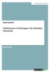 Polytheismus in Thuringen. Die Kultstatte Oberdorla - Book