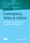 Contemporary Turkey at a Glance : Interdisciplinary Perspectives on Local and Translocal Dynamics - eBook
