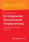 Die Energiewende: Potenziale bei der Energiegewinnung : Eine allgemeinverstandliche Einfuhrung - Book