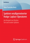 Spektren Verallgemeinerter Hodge-Laplace-Operatoren : Am Beispiel Von Flachen Tori Und Runden Spharen - Book