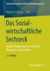 Das Sozialwirtschaftliche Sechseck : Soziale Organisationen zwischen Okonomie und Sozialem - Book