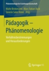 Padagogik - Phanomenologie : Verhaltnisbestimmungen und Herausforderungen - Book