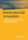 Mehrfachtaterschaft Im Jugendalter : Soziale Hintergrunde Und Verlaufe Wiederholter Delinquenz - Book