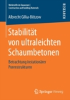Stabilitat von ultraleichten Schaumbetonen : Betrachtung instationarer Porenstrukturen - Book