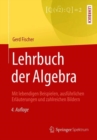 Lehrbuch der Algebra : Mit lebendigen Beispielen, ausfuhrlichen Erlauterungen und zahlreichen Bildern - Book