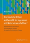 Anschauliche Hohere Mathematik fur Ingenieure und Naturwissenschaftler 2 : Mehrdimensionale Analysis, Differenzialgleichungen: Ein graphisch orientierter Zugang - Book